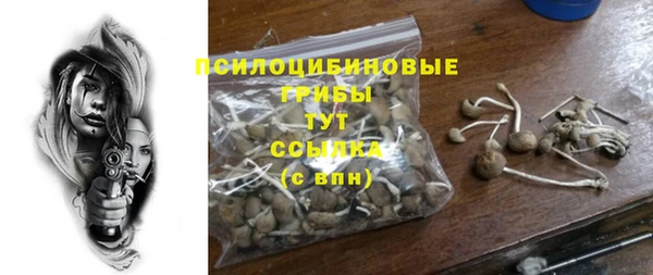 твердый Горно-Алтайск
