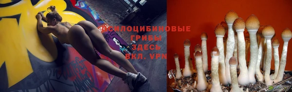 дурь Вяземский