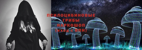 твердый Горняк