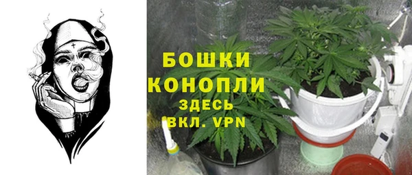 твердый Горняк