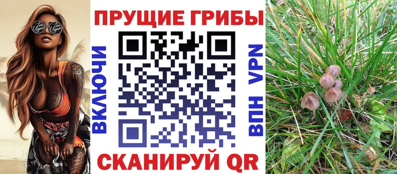 Галлюциногенные грибы Cubensis  Староминская 